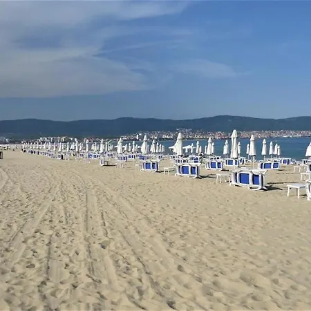 Good Vibes Avalon Daire